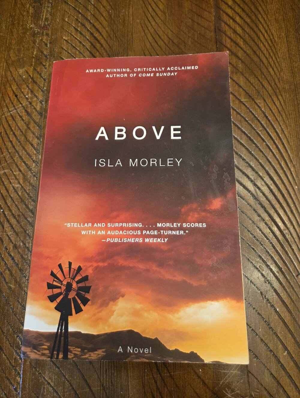 🎉5/$10 Above paperback novel by Isla Morley